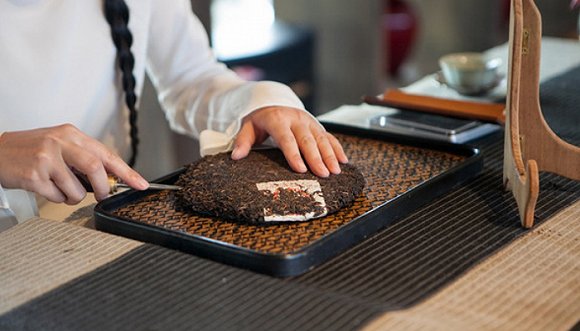 学茶的理由有千万 你为什么去学茶？