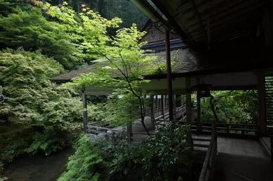 茶人 茶仙 茶奴