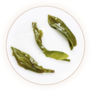 龙岩斜背茶的叶底.jpg 龙岩斜背茶的叶底.jpg