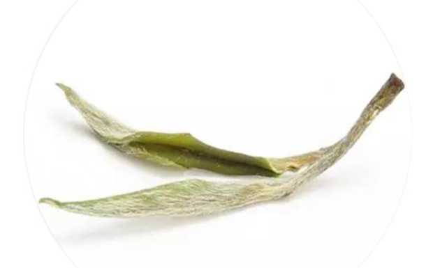 兰溪毛峰茶.jpg 兰溪毛峰茶.jpg