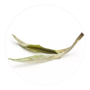 兰溪毛峰茶的外形.jpg 兰溪毛峰茶的外形.jpg