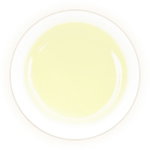 官庄毛尖的汤色.jpg 官庄毛尖的汤色.jpg