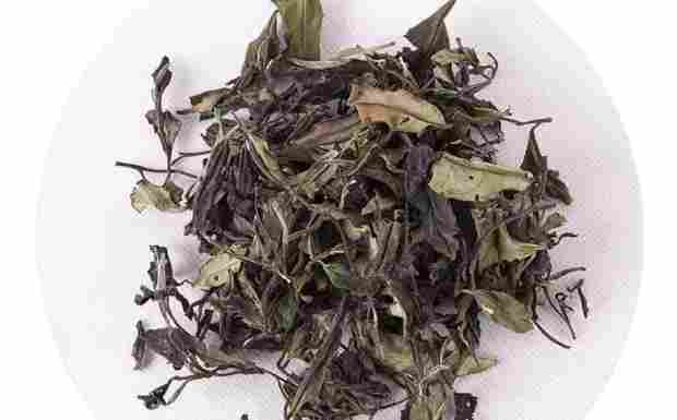 松溪小白茶.png 松溪小白茶.png