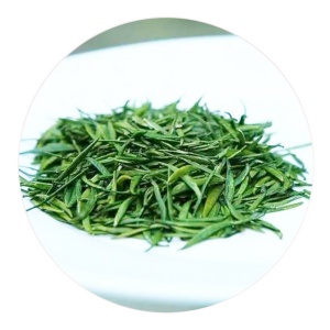 保康松针的外形.jpg 保康松针的外形.jpg