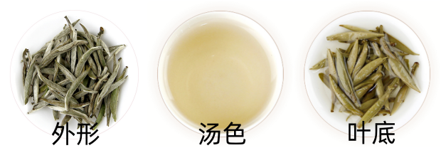 白毫银针外形.png 白毫银针外形.png