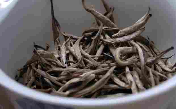 广东大叶青.png 广东大叶青.png