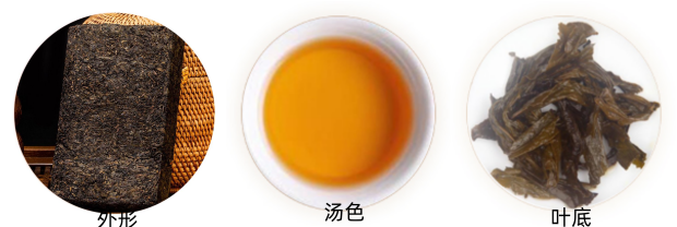 蛹虫草茯茶品质特征.png