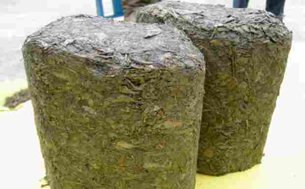 金尖茶.png 金尖茶.png