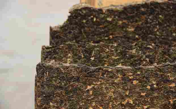 泾阳茯砖茶.png 泾阳茯砖茶.png