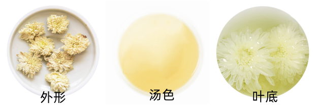 贡菊品质特征.png 贡菊品质特征.png