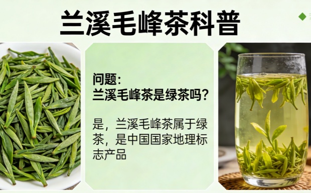 生成兰溪毛峰茶图片_副本.jpg 生成兰溪毛峰茶图片_副本.jpg