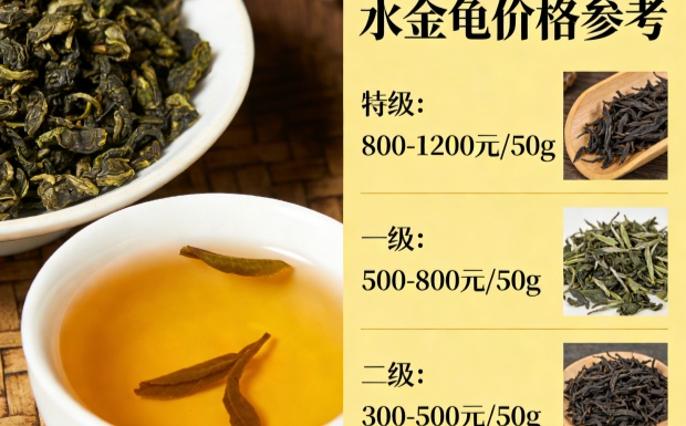 生成水金龟价格图片_副本.jpg 生成水金龟价格图片_副本.jpg