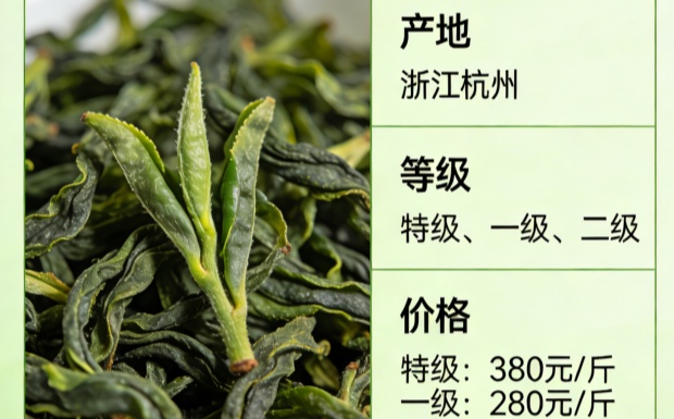 新对话_副本.jpg 新对话_副本.jpg