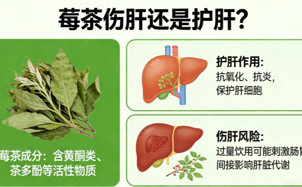 生成莓茶图片_副本.jpg 生成莓茶图片_副本.jpg